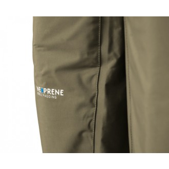 Delphin prsačky  HRON