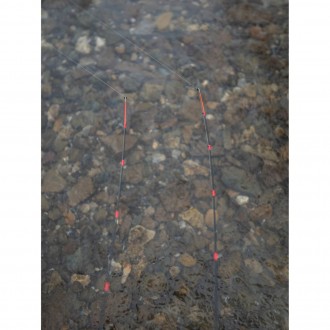 Giants fishing Prut Fluent MK2 Feeder 10ft (3.0m) 80g