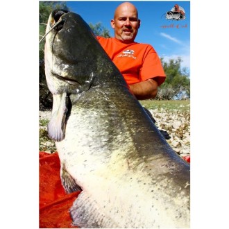 Stojan Hell-Cat sumcový Speciál