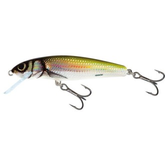 Salmo Wobler Minnow Floating Holo Bleak 7cm