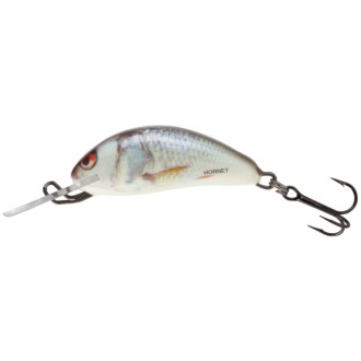 Salmo Wobler Hornet Sinking 2,5cm RD