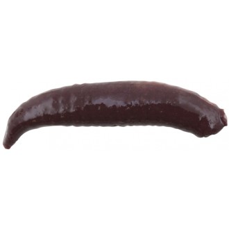 Berkley červ Gulp! Floating Pinched Crawler 2,5cm Nightcrawler 14ks