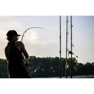 Black Cat splétaná šňůra Zeus Line G2 žlutá