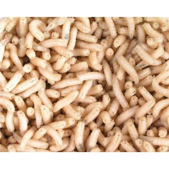 červi bílé 1 dcl kelímek